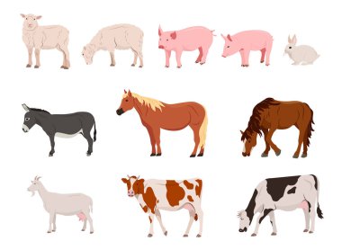 Bir grup çiftlik hayvanı. Köy hayvanı. Beyaz arka planda izole edilmiş bir karakter. Düz bir şekilde vektör illüstrasyonu