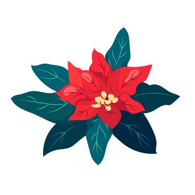 Yeşil yapraklı kırmızı noktalı Noel çiçeği. Güzel bir kış çiçeği bitkisi. Şenlikli dekorasyon için zarif bir çiçek tasarımı, tebrik kartları, modern düz vektör çizimi izole edilmiş.