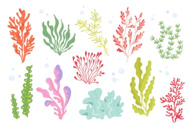 Elle çizilmiş sevimli deniz yosunu ve yumuşak pastel renklerde mercan çizimi. Çocuk dekoru, çocuk tasarımı, kumaş ve okyanus temalı baskılar için baloncuklu oyuncu sualtı vektör botanik koleksiyonu