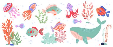 Balina, denizanası, mürekkep balığı, renkli balık ve yosun da dahil olmak üzere deniz vektör elementleri. Çocuk dekoru, çocuk tekstili baskısı, okyanus tasarımı için parlak şakacı palet ve arkadaş canlısı karakterler.