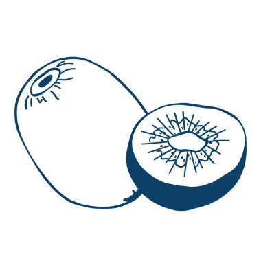 Çizim tarzında el çizimi kivi meyvesi. Karalama tarzında tam ve yarım kivi. Asgari çizgi sanat vektörü illüstrasyonu, baskı, menü, sağlıklı yaşam tarzı, markalaşma için organik gıda tasarımı unsuru