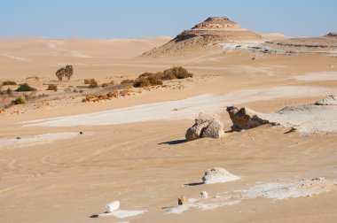Sahra Çölü Mısır'ın altın kum