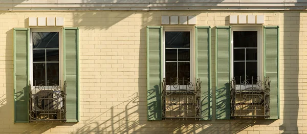 Ağaç açık pencereleri panorama