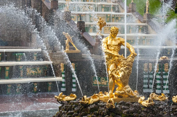 Fontaine dorée de Samson à Peterhof près de Saint-Pétersbourg — Photo