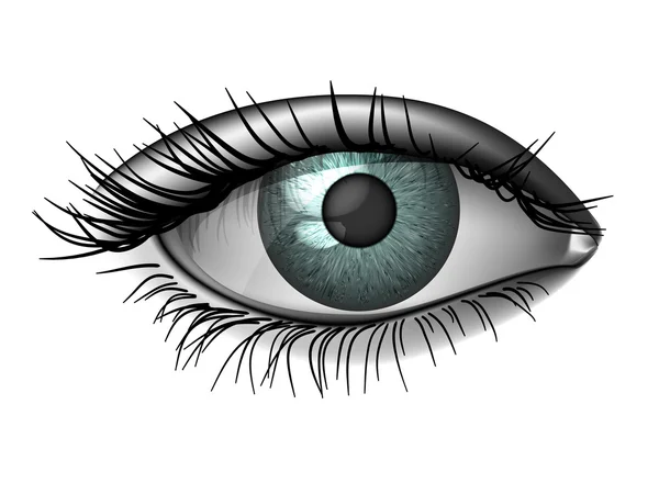Fotorealisztikus emberi szem közelről — Stock Vector