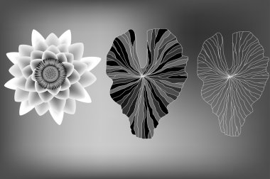Lotus flower and leaves elements, black and white clipart