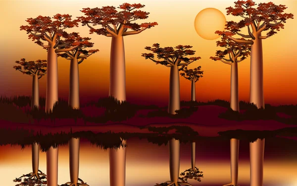 Zachód słońca w lesie Afryka baobab, w pobliżu rzeki 5 — Wektor stockowy