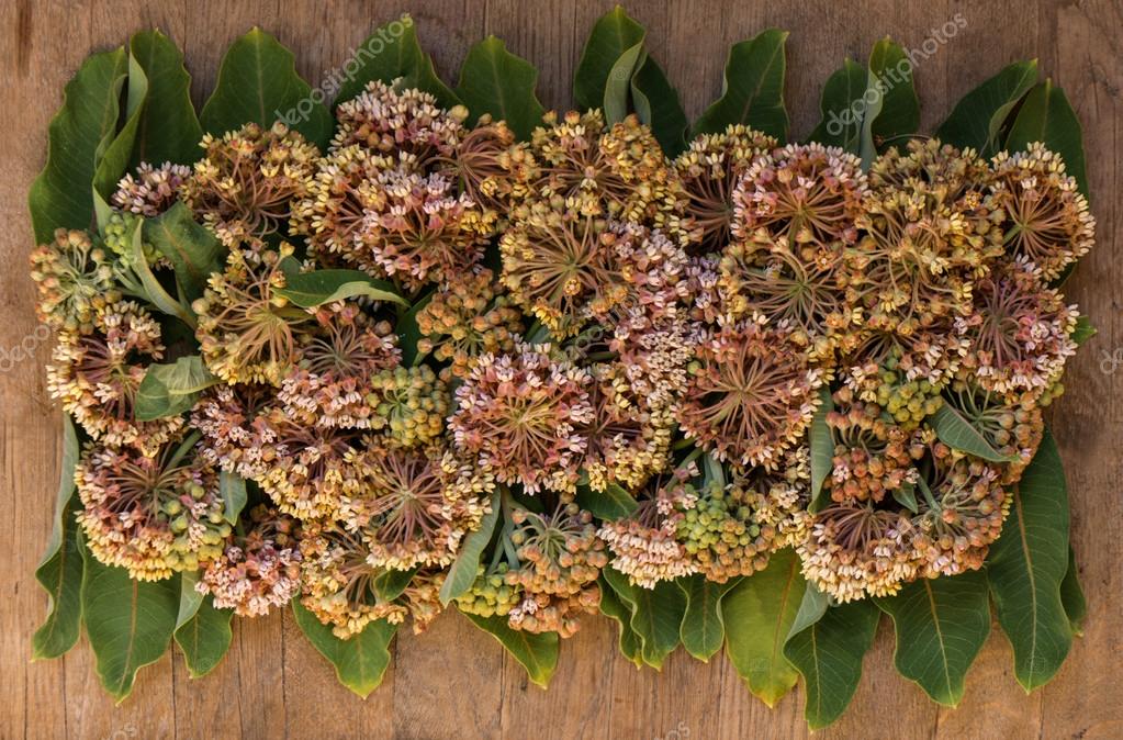 panoramic autumn flowers background