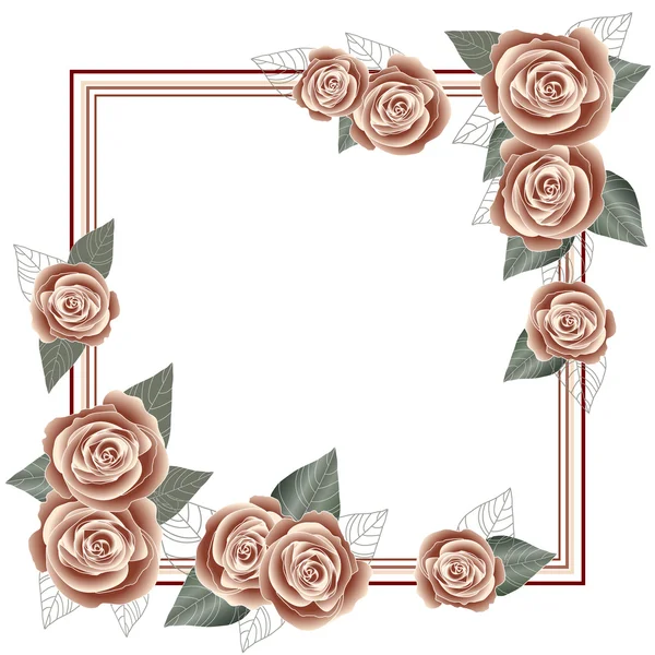 Rose frame for a postcard, square form — Stock Vector