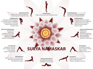 Yoga infographics, Surya Namaskar dizisi