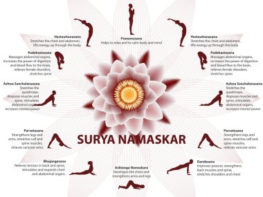 Yoga infographics, Surya Namaskar sequence clipart