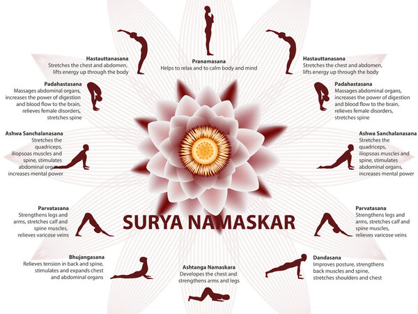 Yoga infographics, Surya Namaskar sequence