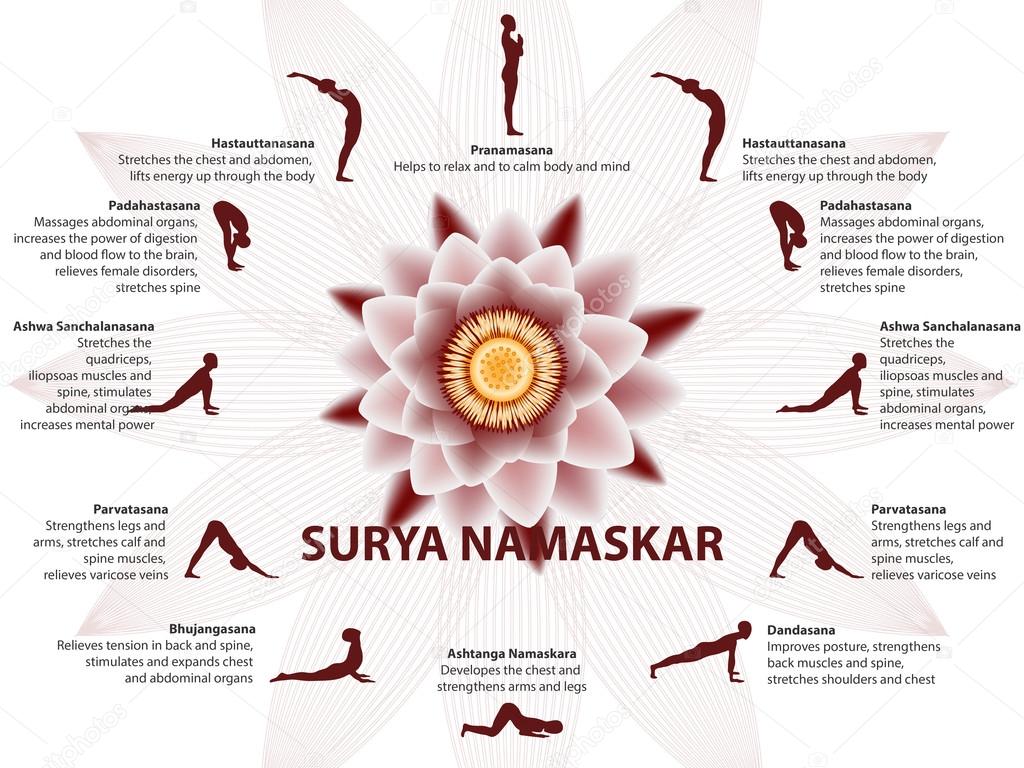Yoga infographics, Surya Namaskar sequence — Stock Vector © s.belinska