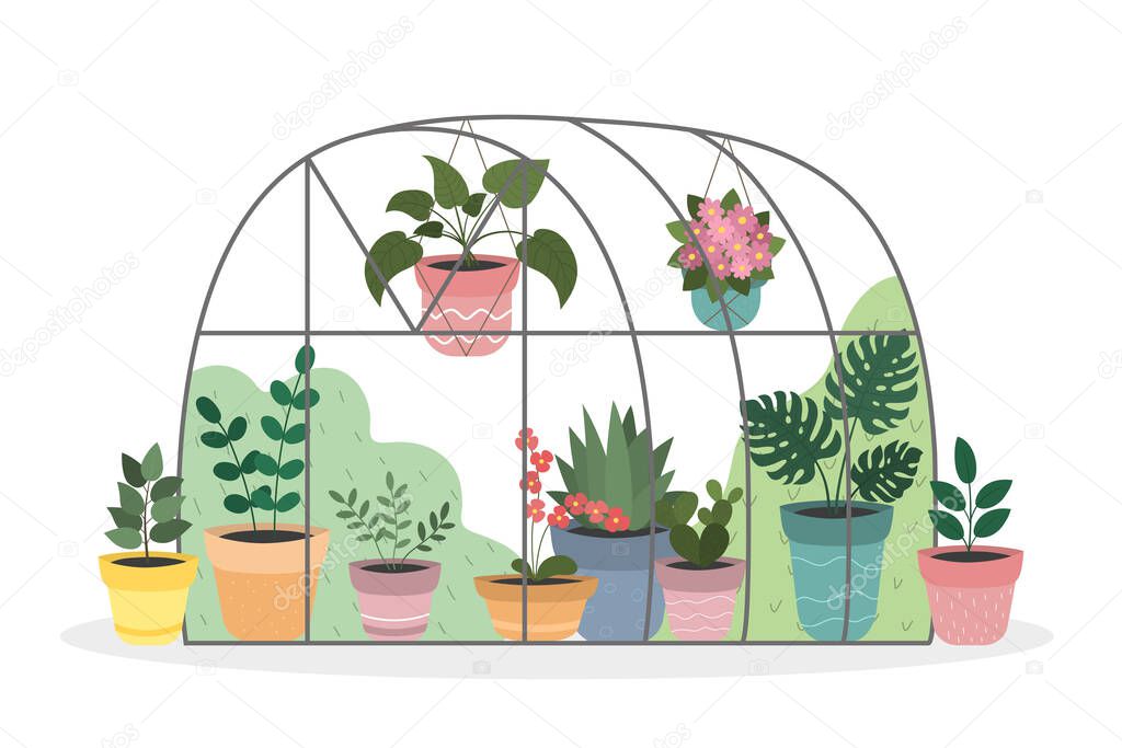 Greenhouse with indoor flowers in colorful pots. Flat style. Vector illustration.