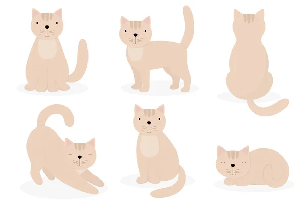 Gato Bonito Dos Desenhos Animados Poses Diferentes Adequado Para Design — Vetor de Stock