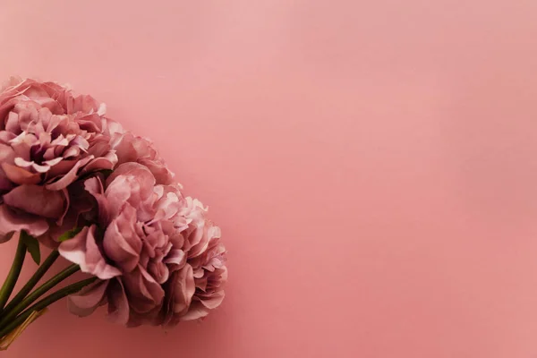 Güzel çiçekler. Pastel pembe arka planda pembe çiçekler. Paskalya, Mutlu Kadınlar Günü, Anneler Günü. Düz konum, üst görünüm, kopyalama alanı