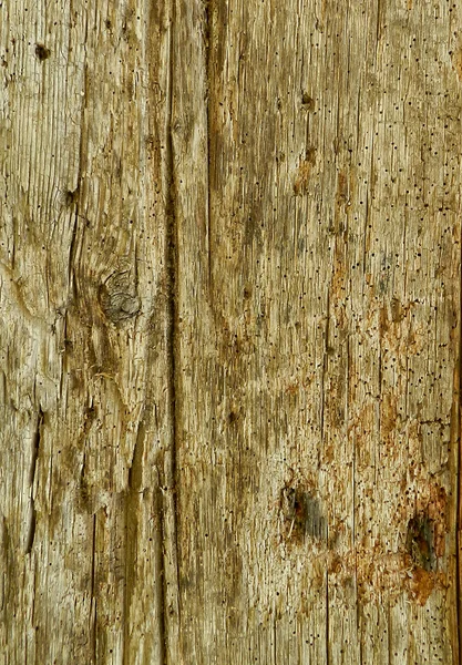 Browns textura de madeira — Fotografia de Stock