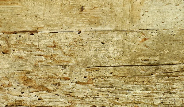 Browns textura de madeira — Fotografia de Stock