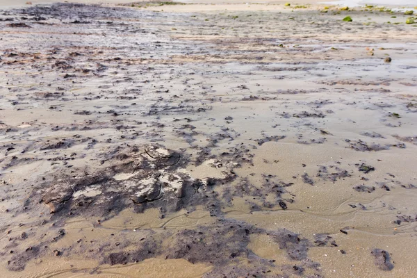 ビーチエリアは、泥や苔癬泥土に満ちています。 — ストック写真