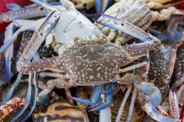 yengeçler Kırmızı sepet içinde