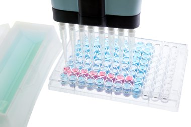  araştırma test laboratuarı elisa