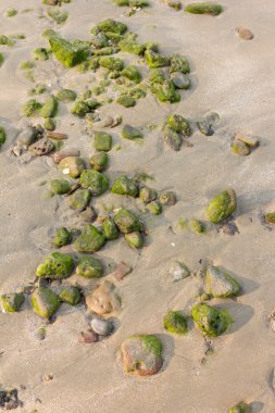 kaya zemin üzerine plaj alanı