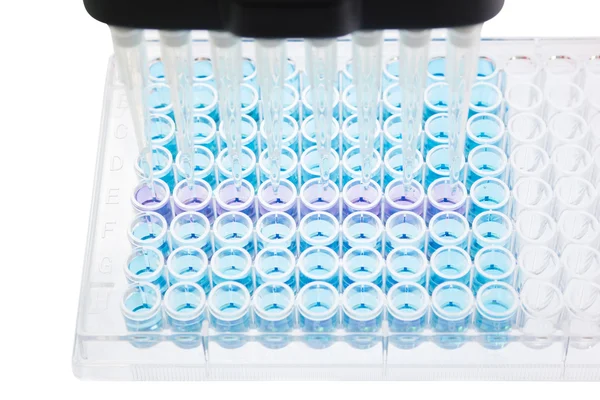 Research test lab plate analysis — Stock Photo, Image