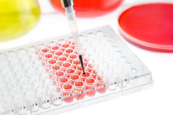 Pipette test sample research test lab — Stock Photo, Image