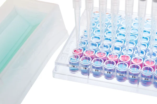 测试样本研究测试实验室酶联免疫吸附试验 — 图库照片