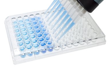 çok kanallı pipet 96 wells plaka üzerinde örnek test