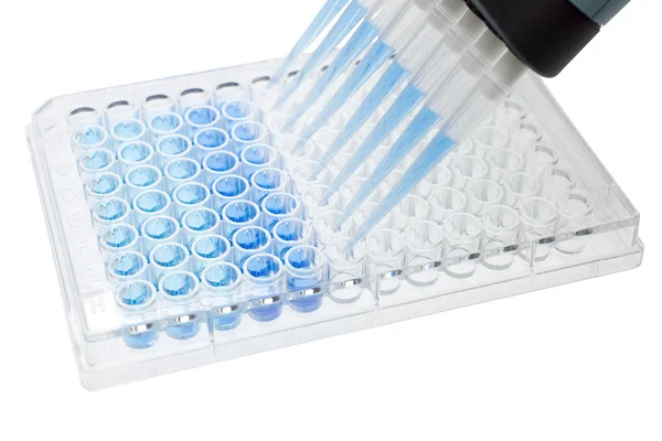 Multichannel pipette test sample on 96 wells plate — Stock Photo, Image