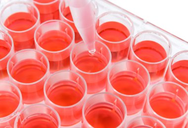 24 iyi plaka test laboratuarı