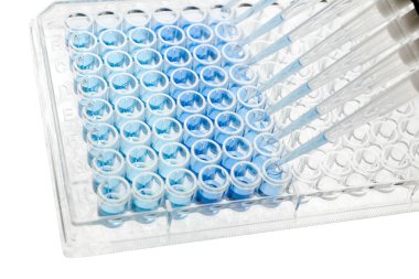 çok kanallı pipet test örneği 