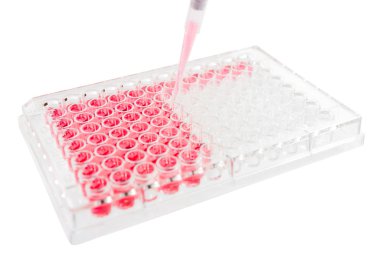 Araştırma Laboratuarı elisa plaka analizi 