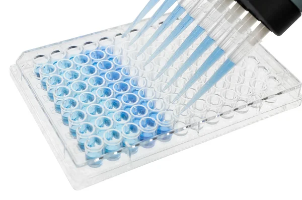 Pipette test sample on 96 wells plate — Stock Photo, Image