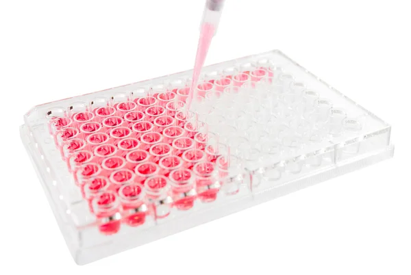 Onderzoek lab elisa plaat analyse — Stockfoto