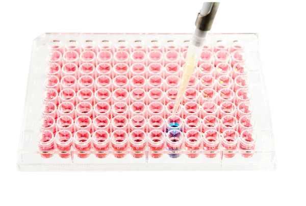 Análise da placa de elisa do laboratório de teste — Fotografia de Stock
