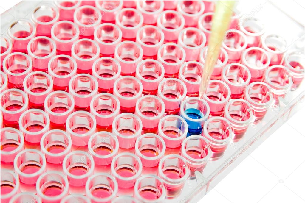 test lab elisa plate analysis