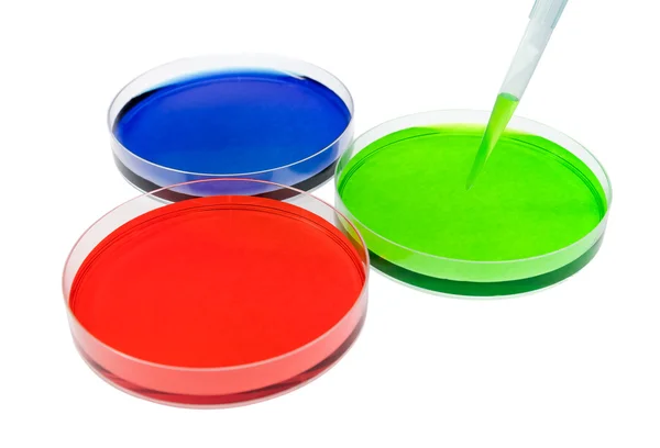 Petri dish drop solution isolate on white — Stok fotoğraf