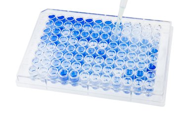 Çözüm test örneği 96 wells plaka üzerine bırak