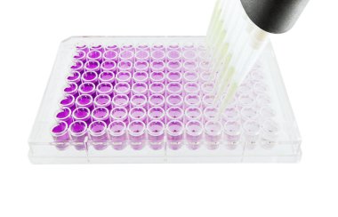 çok kanallı pipet 96 wells plaka üzerinde örnek test
