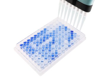 çok kanallı pipet 96 wells plaka üzerinde örnek test