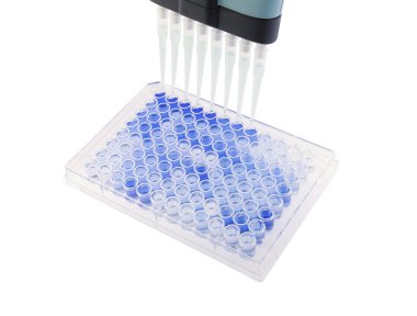 çok kanallı pipet 96 wells plaka üzerinde örnek test