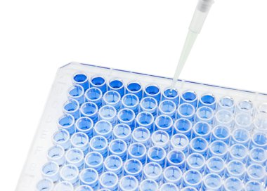 çok kanallı pipet 96 wells plaka üzerinde örnek test