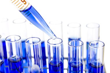 çok kanallı pipet 96 wells plaka üzerinde örnek test