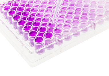 çok kanallı pipet 96 wells plaka üzerinde örnek test