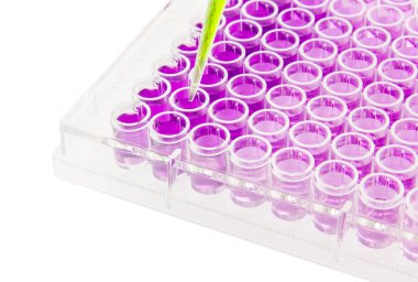 çok kanallı pipet 96 wells plaka üzerinde örnek test