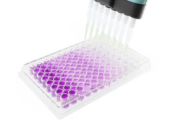 Multichannel pipette test sample on 96 wells plate — Stock Photo, Image