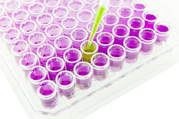 Multichannel pipette test sample on 96 wells plate — Stock Photo, Image