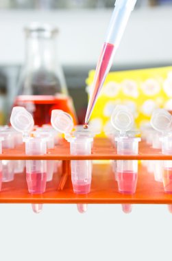 Kırmızı çözüm raf mikro tüp damla